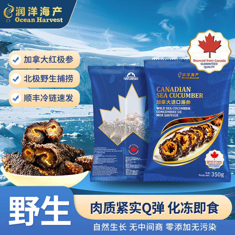 NATURESKY加拿大水发即食海参进口海参红极参北极红参化冻即食