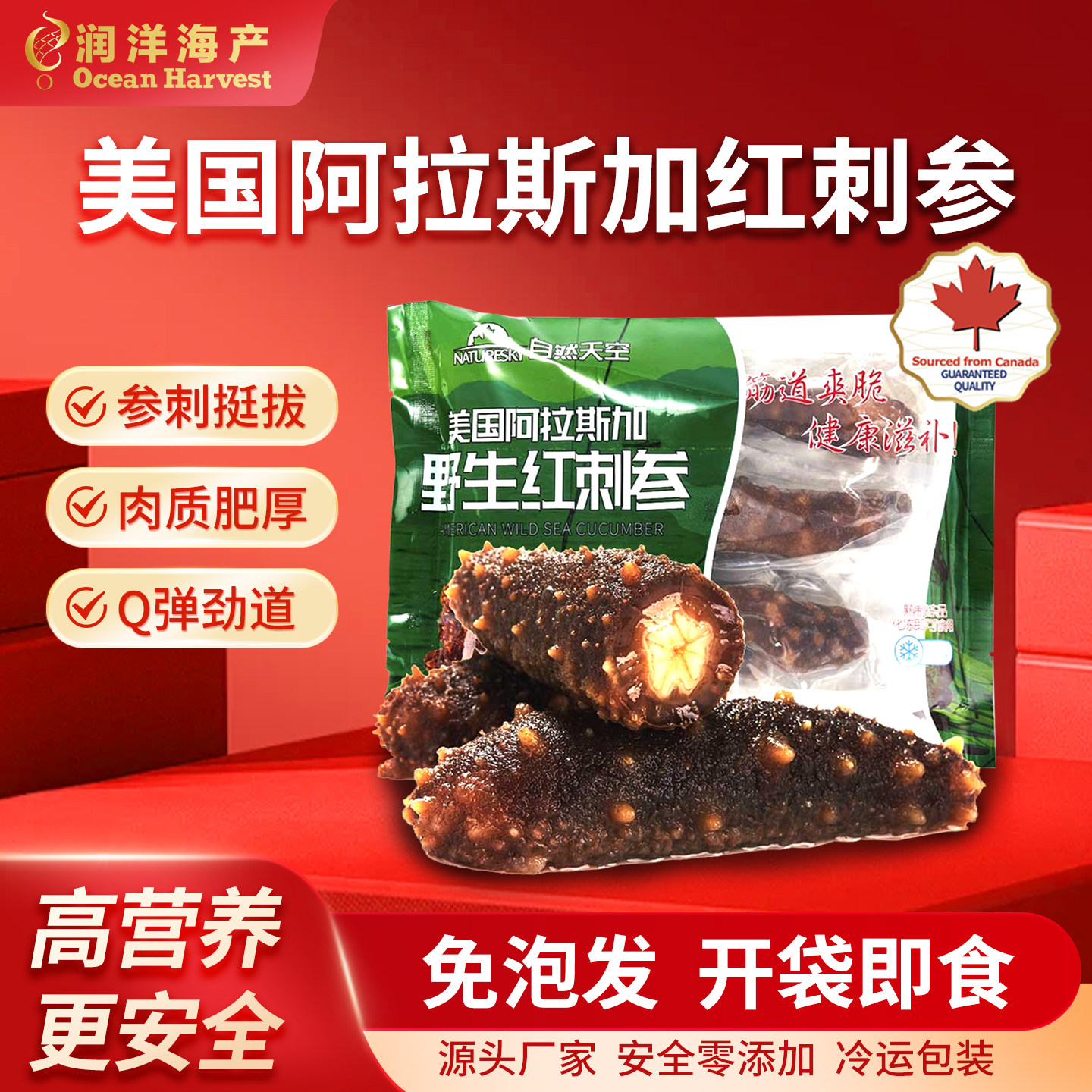 NATURESKY 品牌 即食冷冻阿拉斯加红刺参袋装 500g