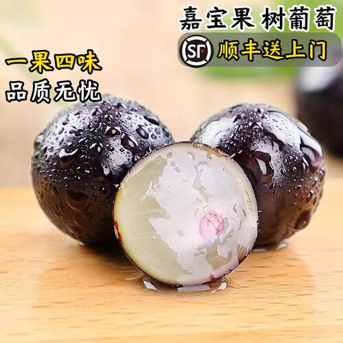 云果农嘉宝果顺丰包邮锁鲜上门