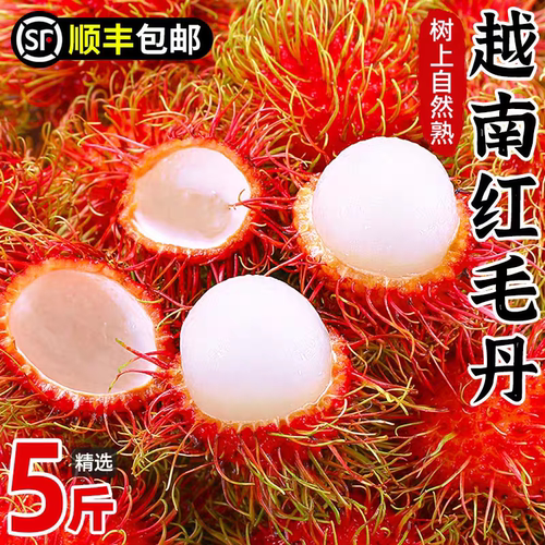 新鲜正宗越南红毛丹顺丰京东包邮