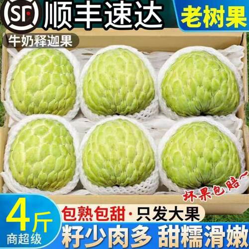 大目释迦特级超大果4斤顺丰包邮