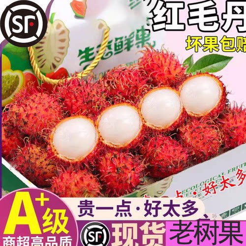 新鲜正宗越南红毛丹顺丰京东包邮