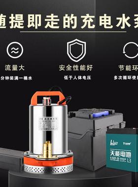充电水泵便携户外v浇菜水泵1224v小型家用农用水电瓶TEJ充电式抽