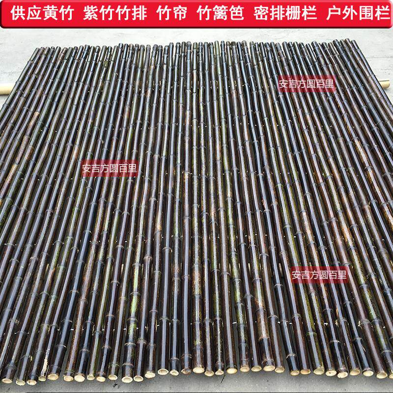紫竹竿005栏防腐竹竹篱笆庭院户外围小竹竿粗细栅竹子室栏内装修