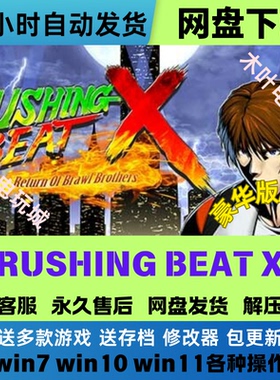 RUSHING BEAT X Return Of Brawl Brothers全DLC网盘下载直装即玩