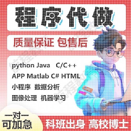 matlab程序代编代码帮做图像神经网络python代做深度学习算法彷真