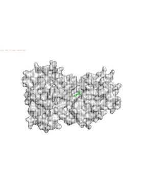 分子对接分子动力学模拟Autodock分子对接PyMOL可视化