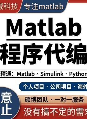 matlab代码帮做程序代编问题解决数学复现simulink建模与仿真代做