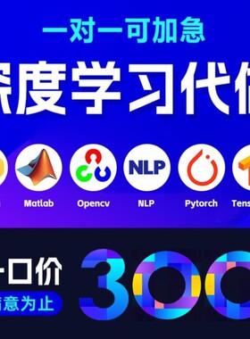 python代编程深度学习机器图像视觉接单代跑lstm代码调试编写爬虫
