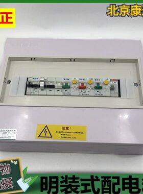PZ30-15明装式箱体配电箱负载电流100A额定电压230V/400V 40W功耗
