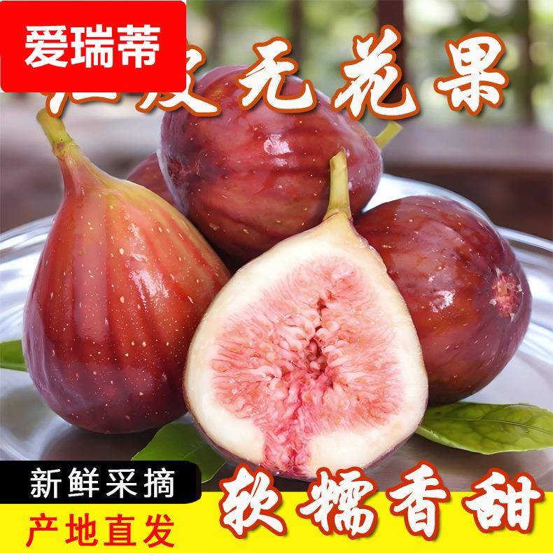 红皮无花果顺丰包邮时令鲜果水果5斤产地现摘一件起批产地直供
