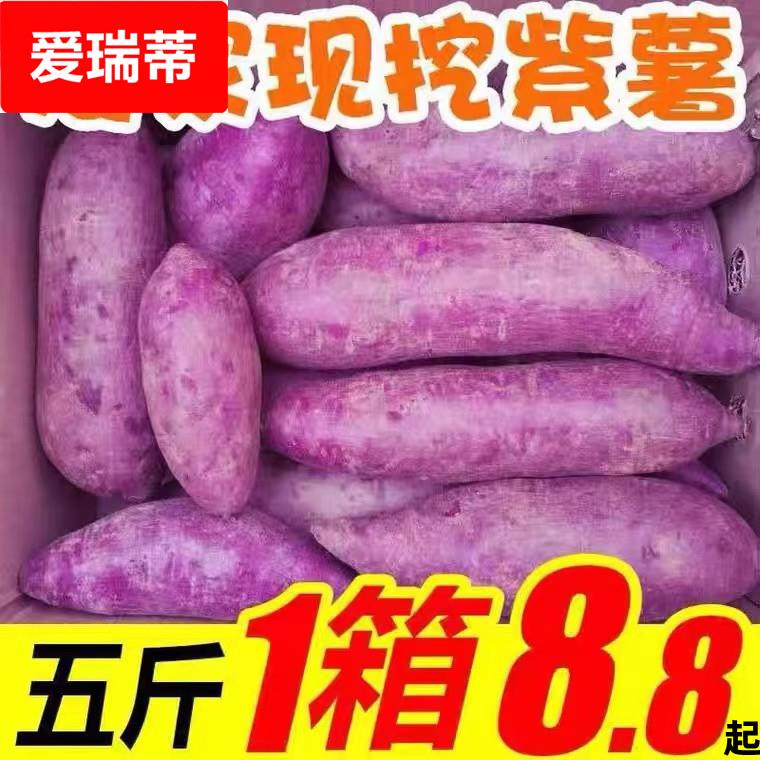 紫薯新鲜现挖紫心番薯地瓜蜜薯糖心5斤山芋烟薯香薯蔬菜农家自种