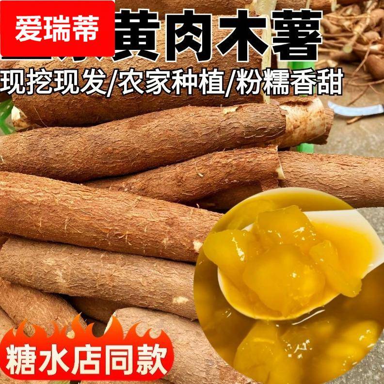 黄心木薯新鲜黄肉蛋黄广西特产农家种植现挖现发粉糯香甜顺丰包邮图片