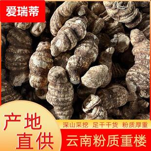 云南粉质重楼七叶一枝花滇重楼干货草河车现货量大价优材