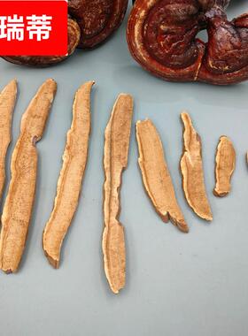 供应安徽大别山金寨 赤灵芝片 零售 林中灵 丹芝琼珍非紫灵芝