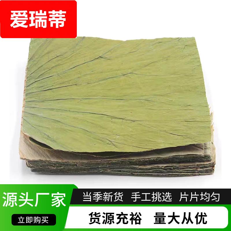 山东济宁微山湖荷叶整张新鲜商用蒸饭荷叶鸡 糯米鸡专用方形荷叶