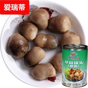草菇新鲜425g罐头老式口蘑商用炒菜煲汤食材中国美味蘑菇