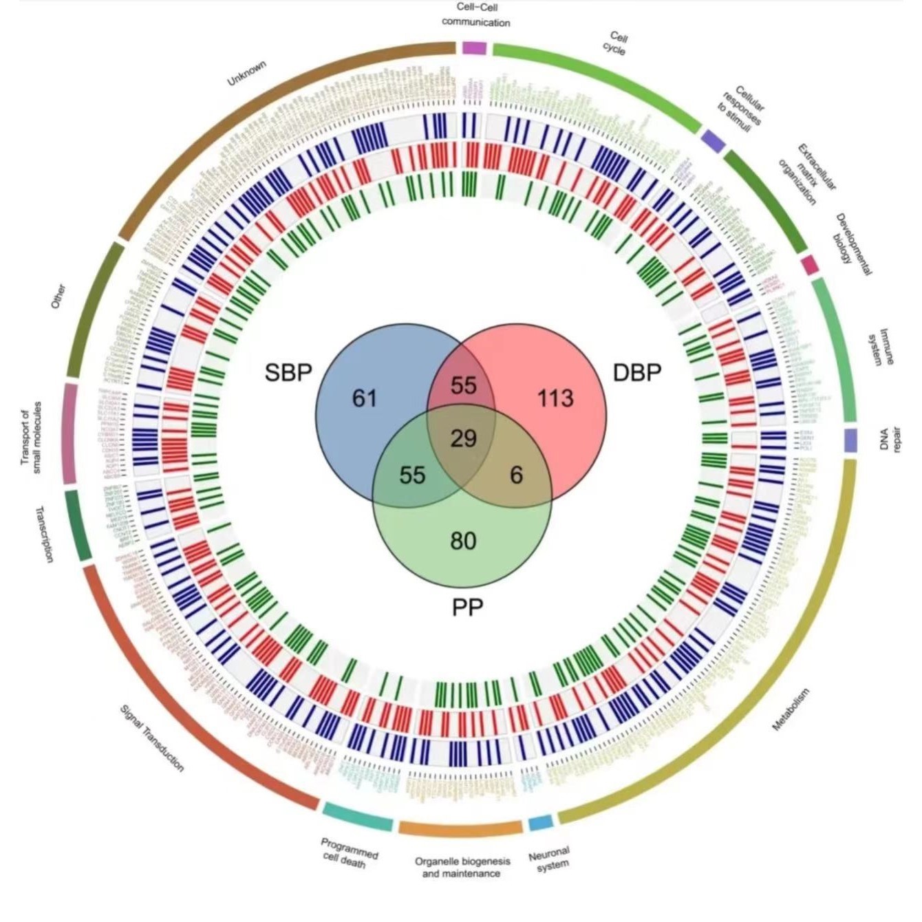 python代做代编程数据分析程序设计代跑pycharm一对一做flask后端