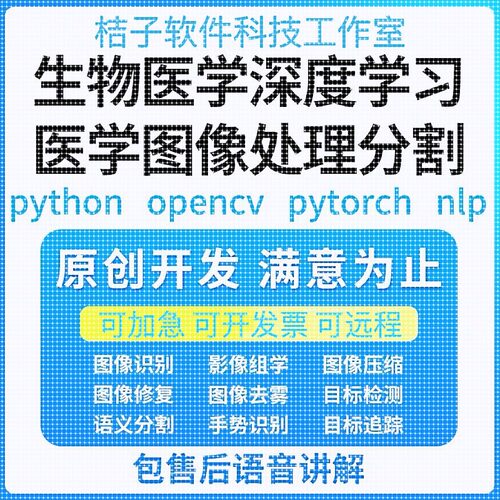 Python代编医学图像分割深度学习语义分割计算机视觉生成对抗网络