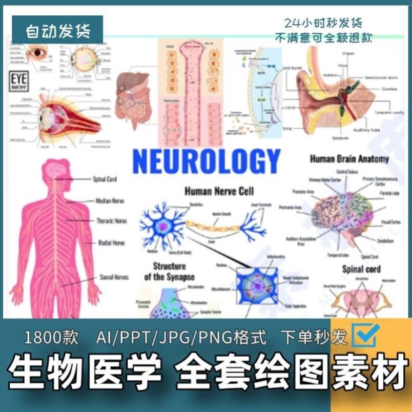 【科研绘图】ppt科研ai模板生物医学插图细胞流程图通路绘图素材