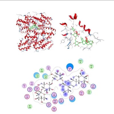 单细胞测序原始数据处理 Cell Ranger流程 质控报告