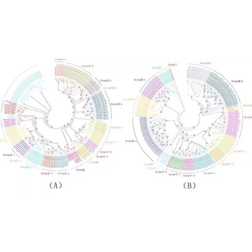 R语言代码Rstudio绘图SCI科研生信医学桑基热图数据分析作图教程