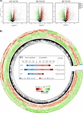 医学sci核心期刊  ssci医学二区5+定制 生信分析 单细胞测序