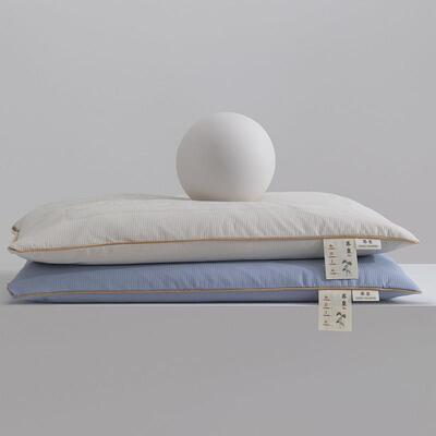 芯2024新款全荞麦壳枕工绗缝艺精美ZAF刺绣枕头枕甜荞麦填充