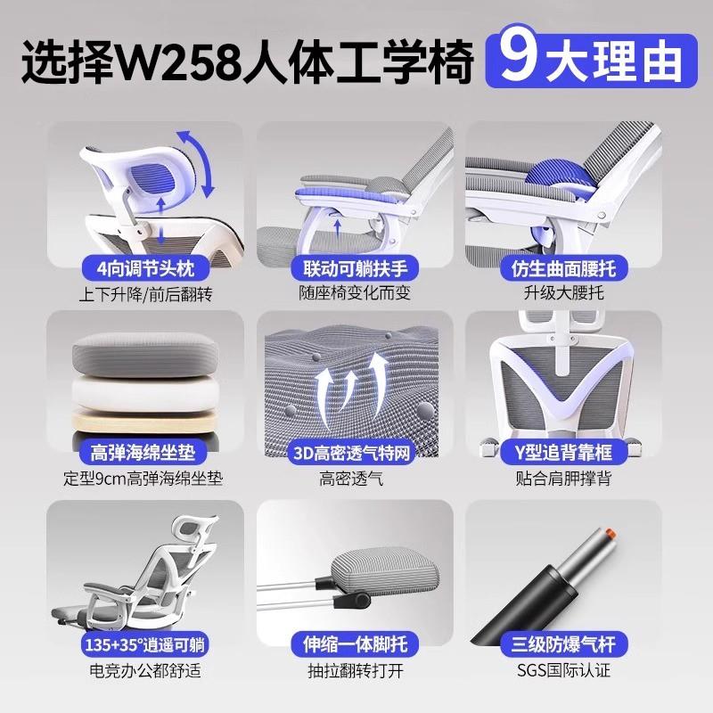 人体脑LH-LYXP-工学电公椅子电竞家办可躺转用椅舒适久坐护腰靠背