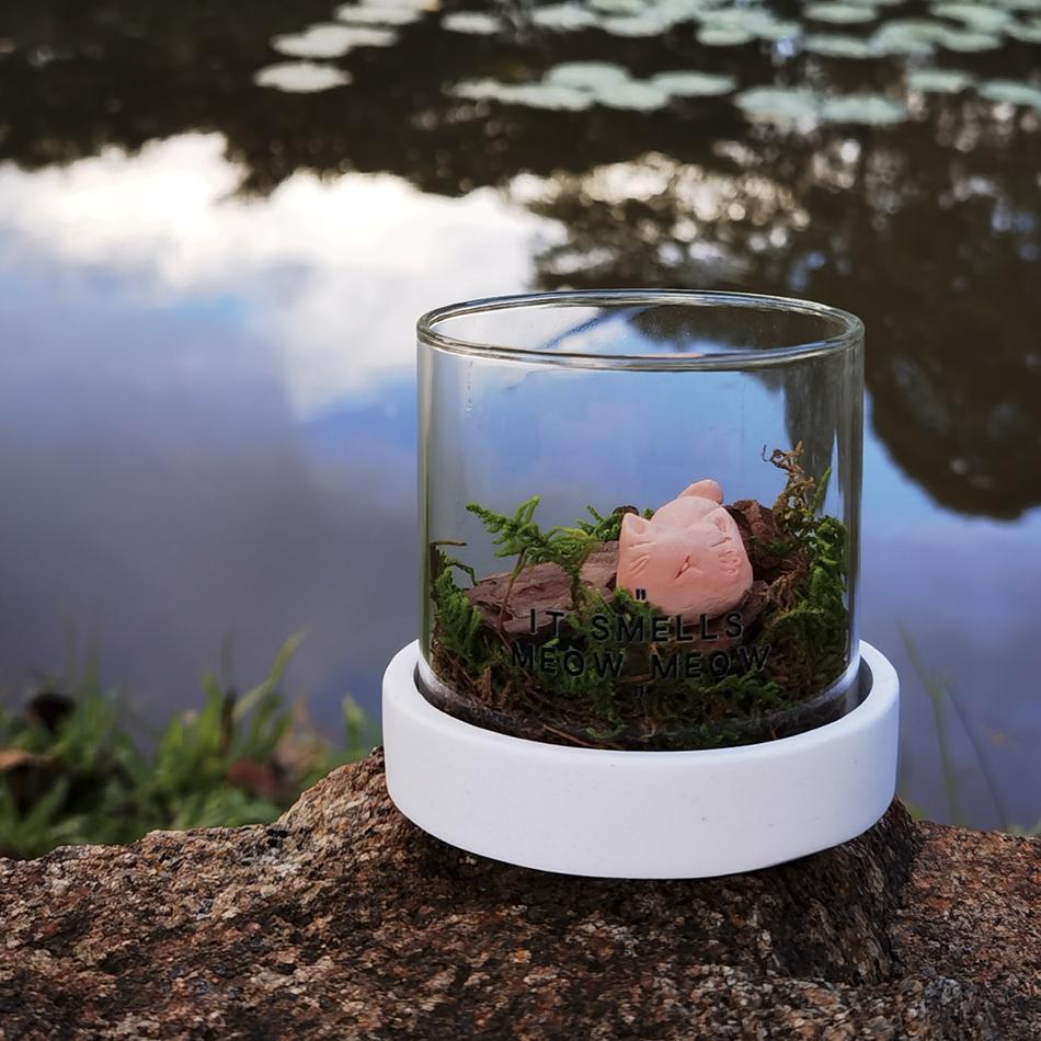 半喵桌喵松木青FFH苔香薰件高级吨感无火香氛植摆物微景观扩香面