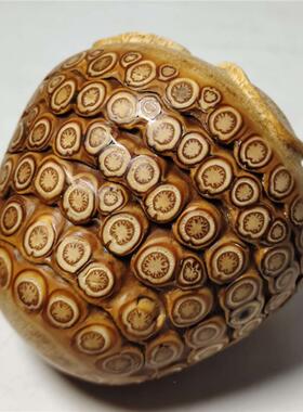 天YVA然实心玉竹根手工雕刻满件钉金蟾寿星貔貅手捻收文玩藏摆把