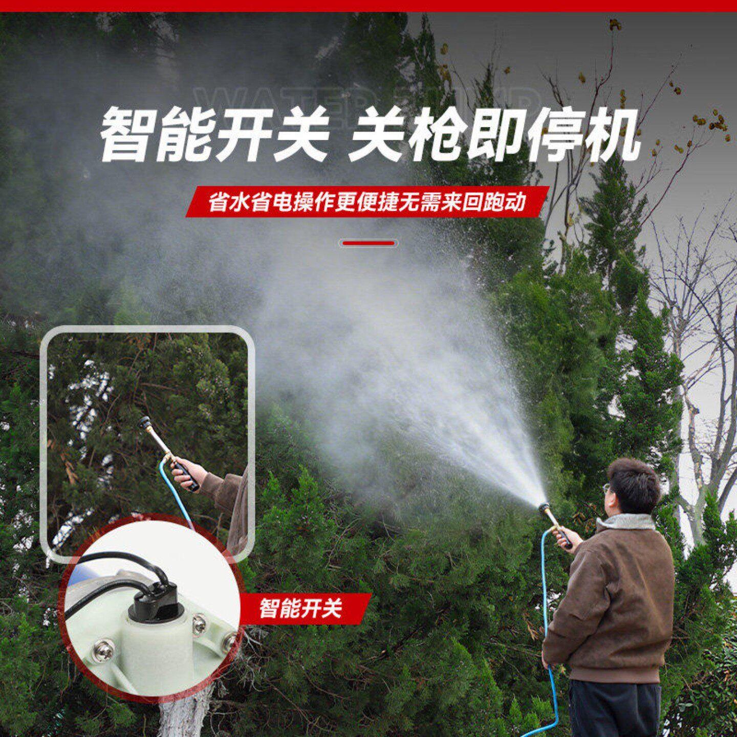 电动喷器农用高压泵12V48V60V雾220V抽5缸隔膜泵雾喷打药机洗车水