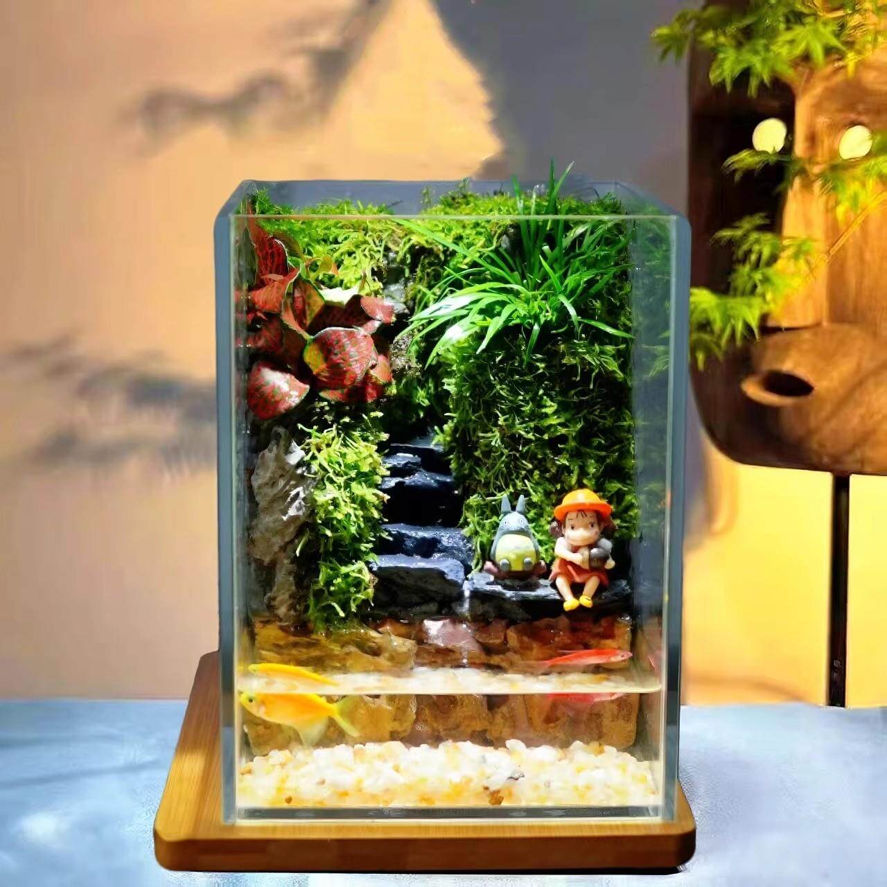 苔藓景观生态雨瓶OTZ林缸造景闷桌面微办公室养植物盆景绿植养鱼