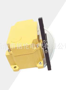 YHFLS-II SPS-2D 双向拉绳装置 拉绳开关 ZGLS-LM-S XYLMQ