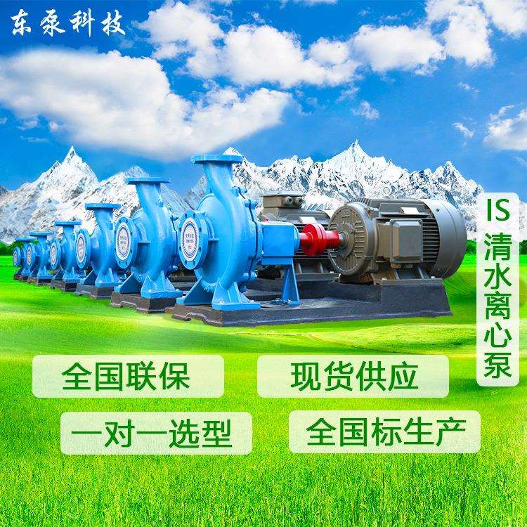 山东东泵 卧式清水离心泵IS工业循环泵 高温清水泵ISR热水端吸泵