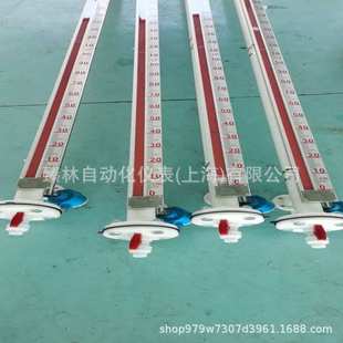 VT15 N无护管顶装 磁翻板液位计UHZ