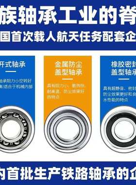 LYC 洛阳轴承集团 6221 6222 6224 6226 6228 6230 6232 E 2Z 2RZ