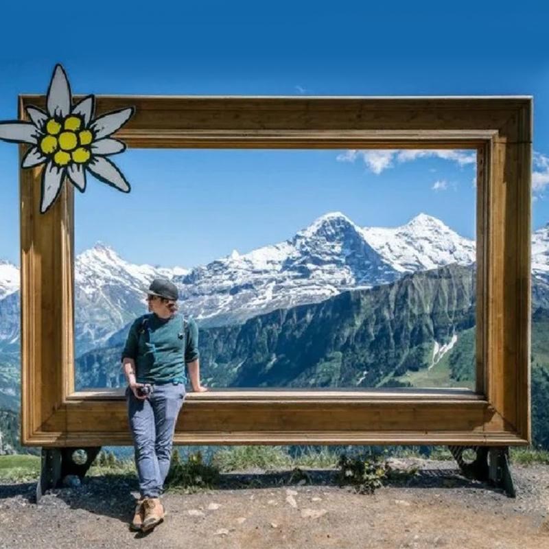 露营原木打卡相框户外景区网红摆件露营拍照道具场景布置装饰装置