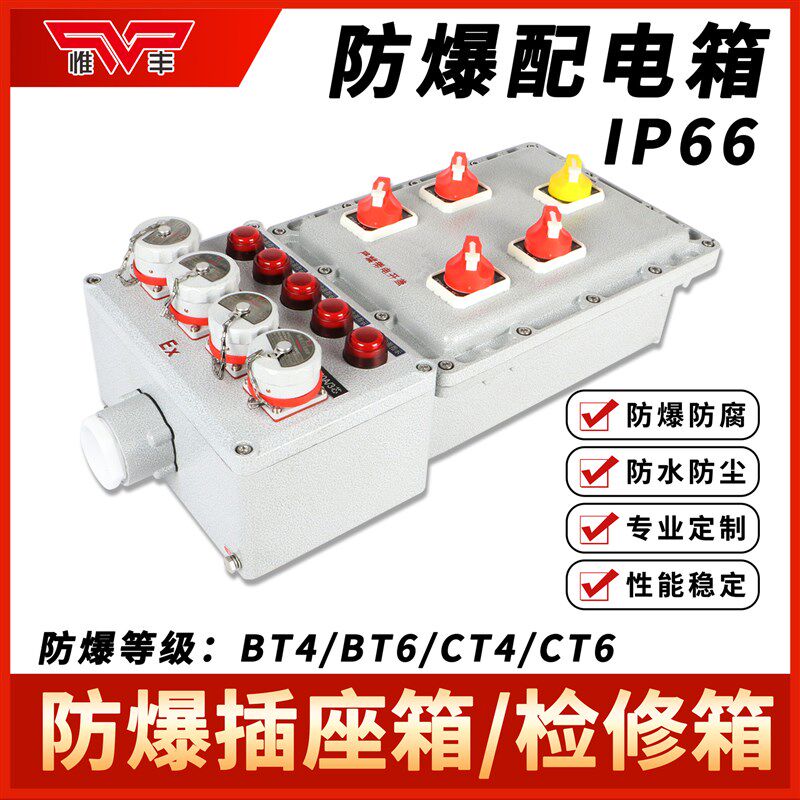 定制防爆检修箱照明动力配电插座接线箱仪表按钮开关端子控制柜