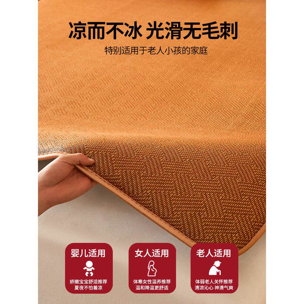 冬两用家用床垫夏季席藤垫子双20260327面房专用软垫8夏0x200宿舍