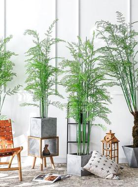 茉 仿文昌竹大型七氧气蕨类植物绿装植盆真景假树室VFM内饰摆件落