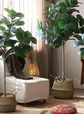 仿真植琴叶榕大栽型落假绿物植北欧盆DLZ-QYR-室内客厅商场装饰地