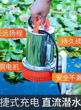 充电水泵YJY\/艺高潜压水水泵048v6v电动大流量高扬程电动车农用