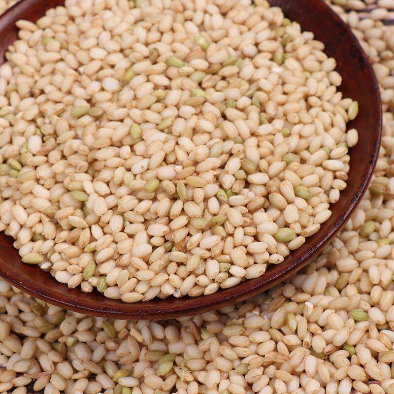 糙糯米1000g 东北粘糙米 酒酿米 新糙白糯米胚芽糙米杂粮带皮江米