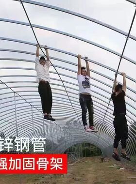 种植蔬菜大棚骨架温室养殖保温大棚全套种植大棚养鸡鸭鹅大棚骨架