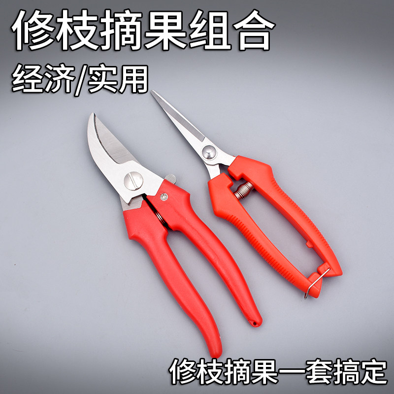 摘果剪强力修枝剪子园林稀果摘果剪葡萄修枝专用剪刀蔬果采摘剪子