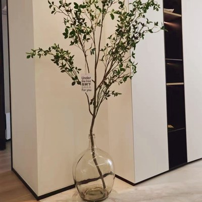 透明玻璃摆件大肚花瓶客厅落地圆肚小口径插花水养马醉木水培吊钟