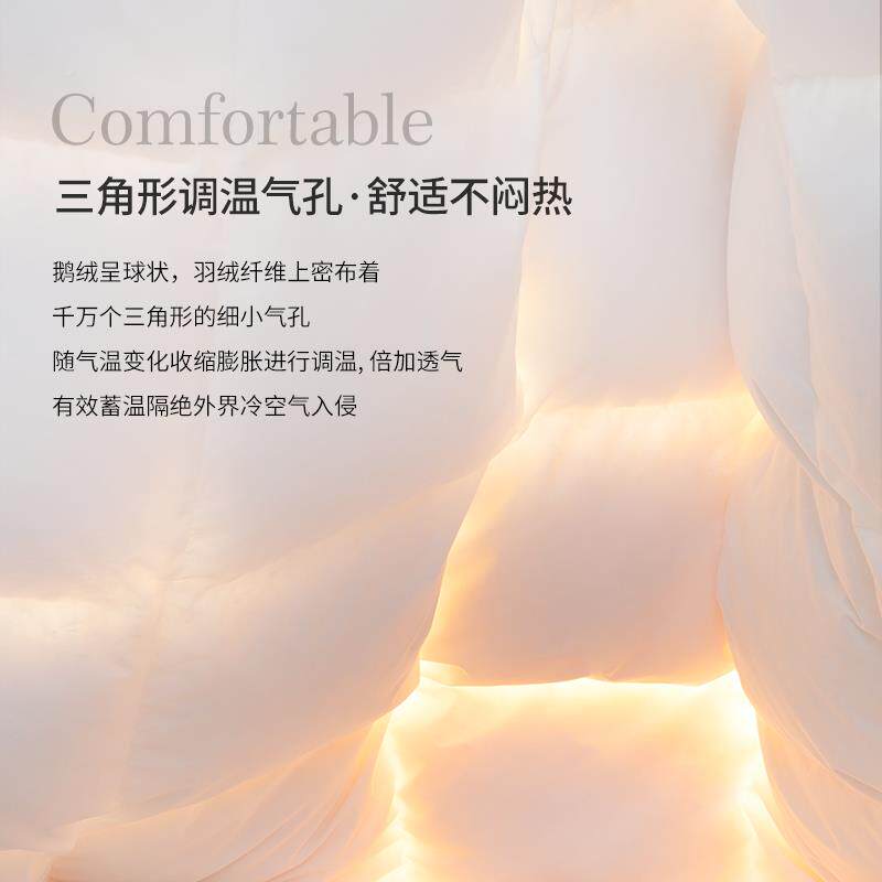 艾依DSHE1614羽绒被90白莱鹅绒被棉子全磨毛加保暖双厚人冬被