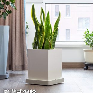 正方形花盆托盘带轮方形移动底座万向轮花盘拖滚轮滑轮白色塑料