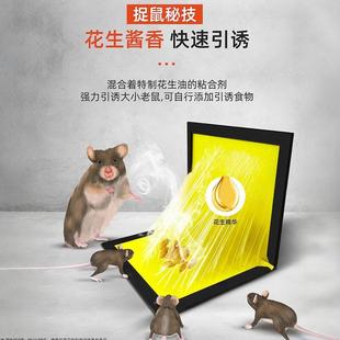 日本捕鼠神强力粘鼠板抓大老鼠捕鼠器家用商器神用厚一窝端加加大